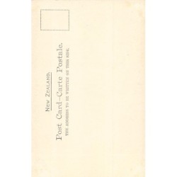 Rare collectable postcards of New Zealand. Vintage Postcards of New Zealand