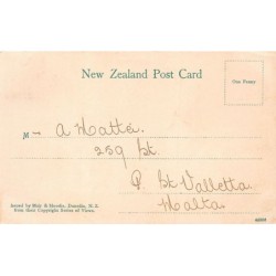 Rare collectable postcards of New Zealand. Vintage Postcards of New Zealand