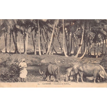 Rare collectable postcards of French Guiana. Vintage Postcards of French Guiana