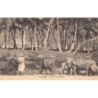 Rare collectable postcards of French Guiana. Vintage Postcards of French Guiana