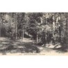 Rare collectable postcards of Belgium. Vintage Postcards of Belgium