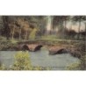 Rare collectable postcards of Belgium. Vintage Postcards of Belgium