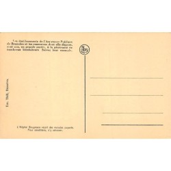 Rare collectable postcards of Belgium. Vintage Postcards of Belgium