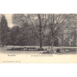 Rare collectable postcards of Belgium. Vintage Postcards of Belgium
