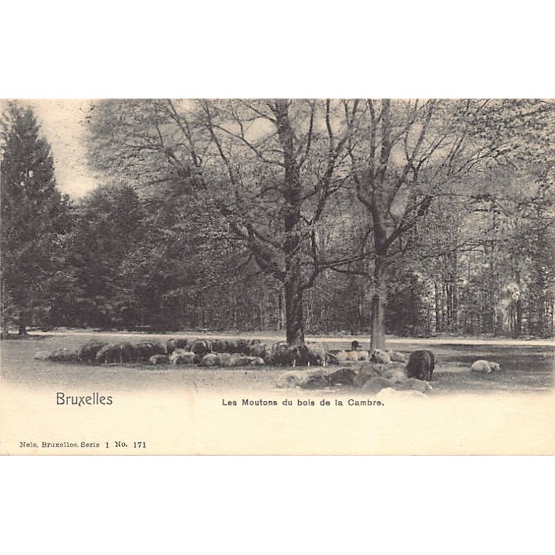 Rare collectable postcards of Belgium. Vintage Postcards of Belgium