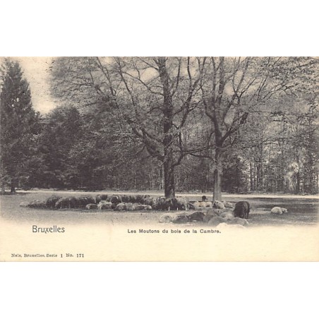 Rare collectable postcards of Belgium. Vintage Postcards of Belgium