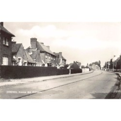 Rare collectable postcards of Belgium. Vintage Postcards of Belgium