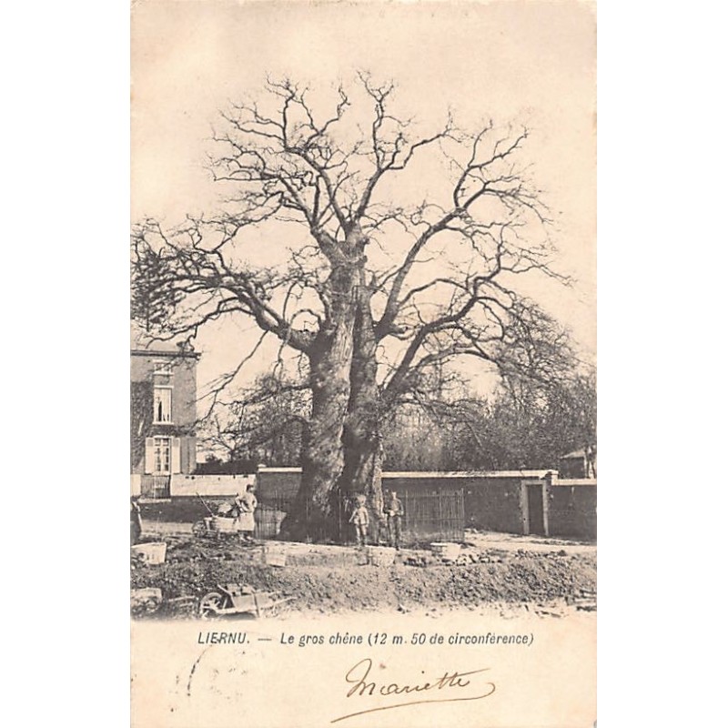 Rare collectable postcards of Belgium. Vintage Postcards of Belgium