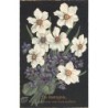 Rare collectable postcards of Belgium. Vintage Postcards of Belgium