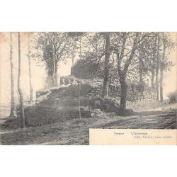 Rare collectable postcards of Belgium. Vintage Postcards of Belgium