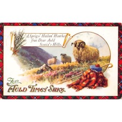 Rare collectable postcards of United Kingdom - Scotland. Vintage Postcards of United Kingdom - Scotland