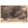 Rare collectable postcards of Switzerland. Vintage Postcards of Switzerland