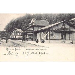 Rare collectable postcards of Switzerland. Vintage Postcards of Switzerland