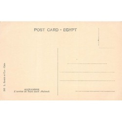 Rare collectable postcards of Saudi Arabia. Vintage Postcards of Saudi Arabia