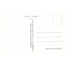Rare collectable postcards of Egypt. Vintage Postcards of Egypt