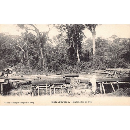 Rare collectable postcards of CÔTE D'IVOIRE. Vintage Postcards of CÔTE D'IVOIRE