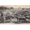 Rare collectable postcards of Morocco. Vintage Postcards of Morocco
