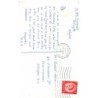 Rare collectable postcards of Morocco. Vintage Postcards of Morocco