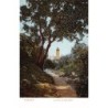 Rare collectable postcards of Morocco. Vintage Postcards of Morocco