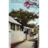Rare collectable postcards of Bermuda. Vintage Postcards of Bermuda