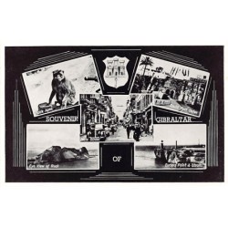 Rare collectable postcards of Gibraltar. Vintage Postcards of Gibraltar
