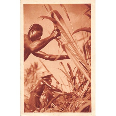 Rare collectable postcards of Martinique. Vintage Postcards of Martinique