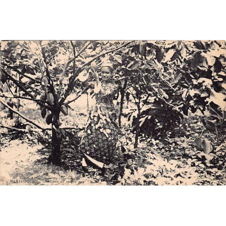 Rare collectable postcards of Martinique. Vintage Postcards of Martinique