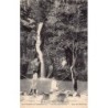 Rare collectable postcards of Martinique. Vintage Postcards of Martinique