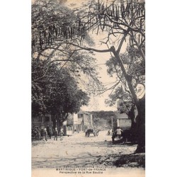 Rare collectable postcards of Martinique. Vintage Postcards of Martinique