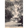 Rare collectable postcards of Martinique. Vintage Postcards of Martinique