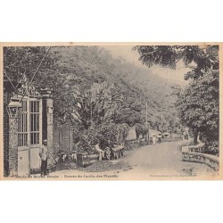 Rare collectable postcards of Martinique. Vintage Postcards of Martinique