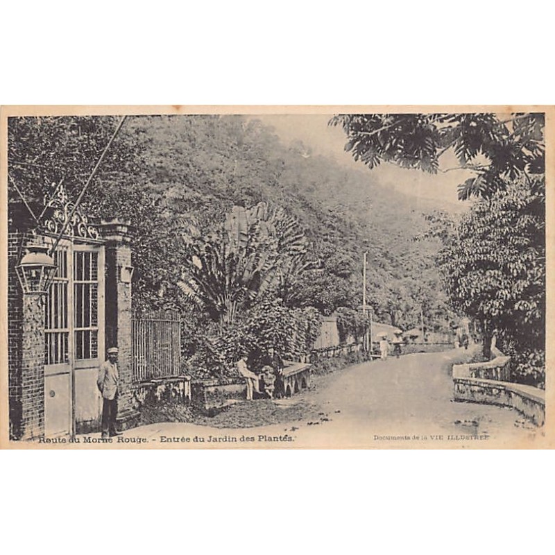 Rare collectable postcards of Martinique. Vintage Postcards of Martinique