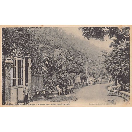 Rare collectable postcards of Martinique. Vintage Postcards of Martinique