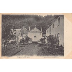 Rare collectable postcards of Martinique. Vintage Postcards of Martinique
