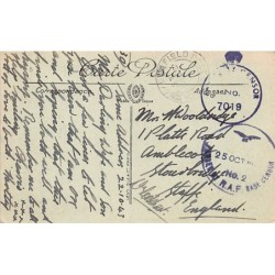 Rare collectable postcards of Algeria. Vintage Postcards of Algeria