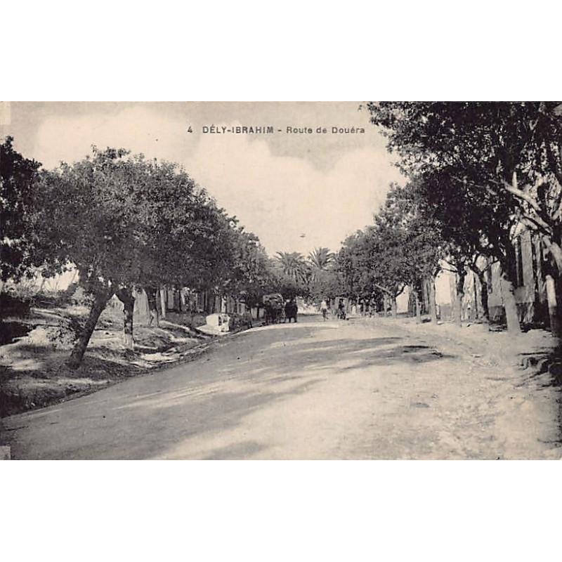 Rare collectable postcards of Algeria. Vintage Postcards of Algeria