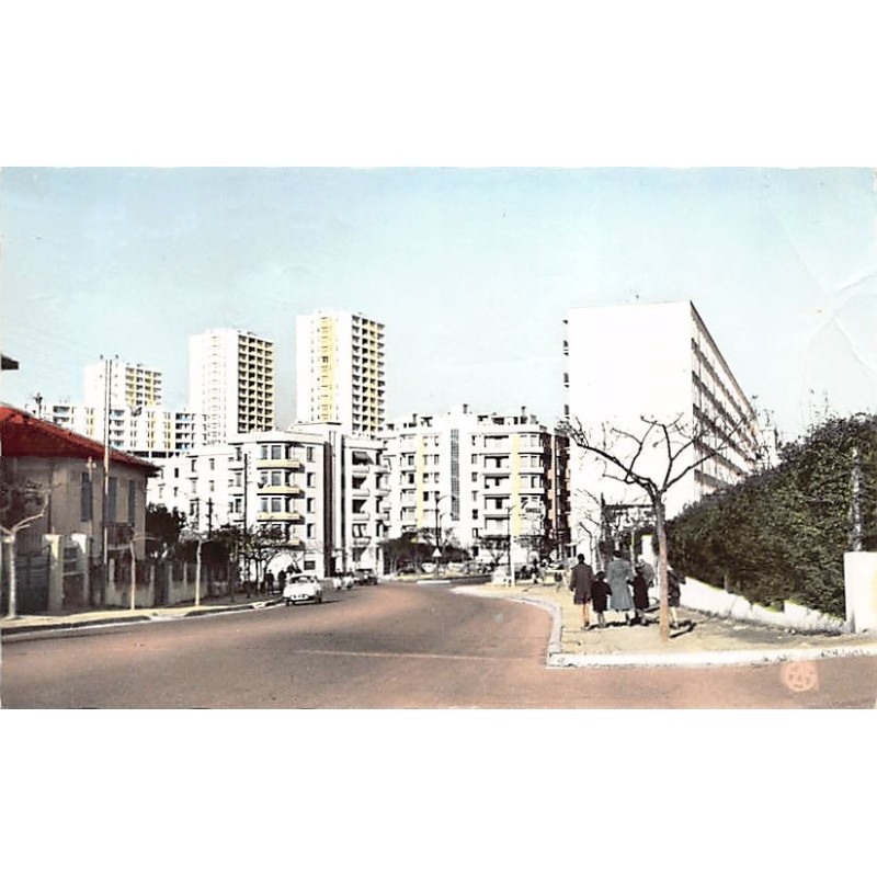 Rare collectable postcards of Algeria. Vintage Postcards of Algeria