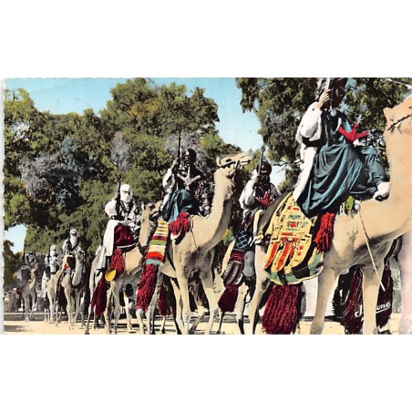 Rare collectable postcards of Algeria. Vintage Postcards of Algeria