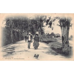 Rare collectable postcards of Algeria. Vintage Postcards of Algeria