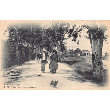 Rare collectable postcards of Algeria. Vintage Postcards of Algeria