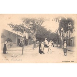 Rare collectable postcards of Algeria. Vintage Postcards of Algeria