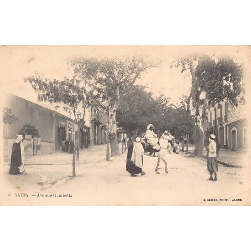 Rare collectable postcards of Algeria. Vintage Postcards of Algeria