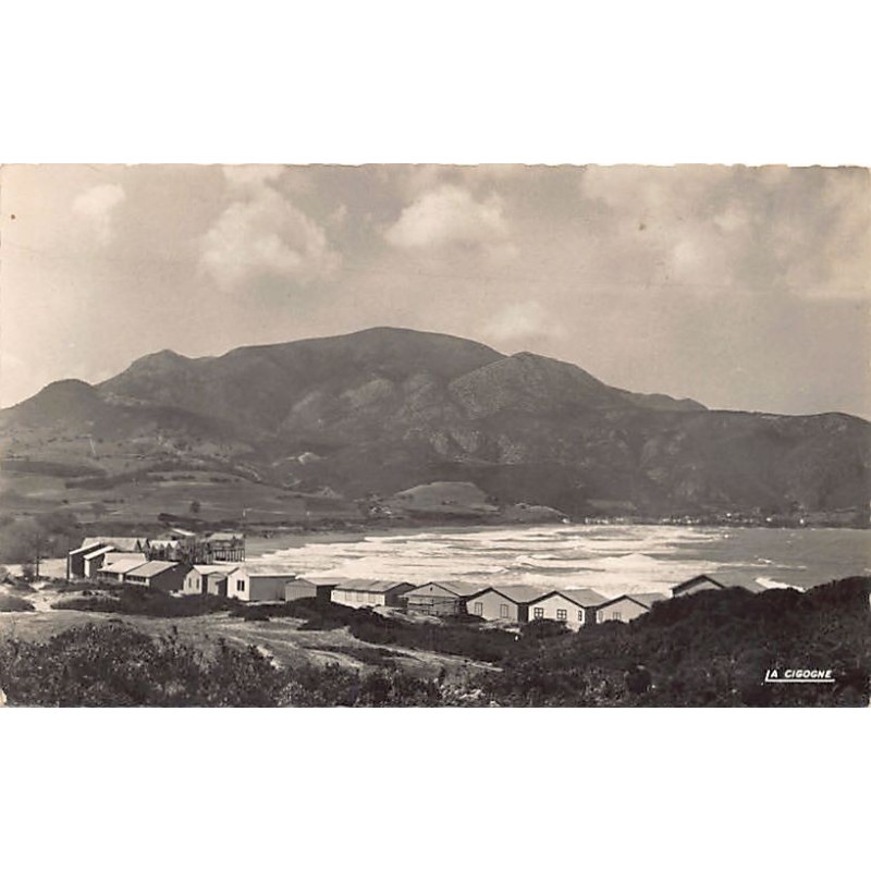 Rare collectable postcards of Algeria. Vintage Postcards of Algeria