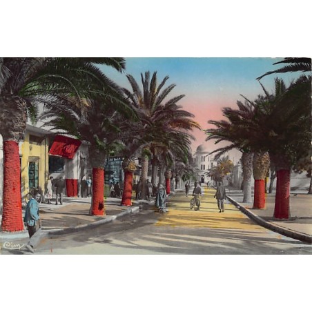 Rare collectable postcards of Tunisia. Vintage Postcards of Tunisia