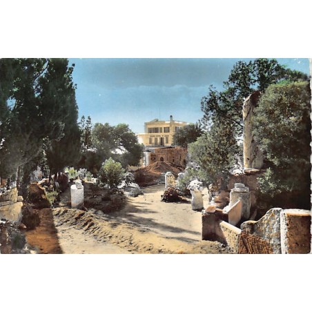 Rare collectable postcards of Tunisia. Vintage Postcards of Tunisia