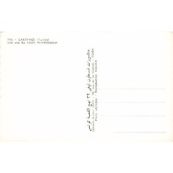 Rare collectable postcards of Tunisia. Vintage Postcards of Tunisia