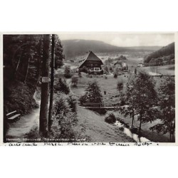 Rare collectable postcards of Germany. Vintage Postcards of Germany