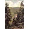 Rare collectable postcards of Germany. Vintage Postcards of Germany