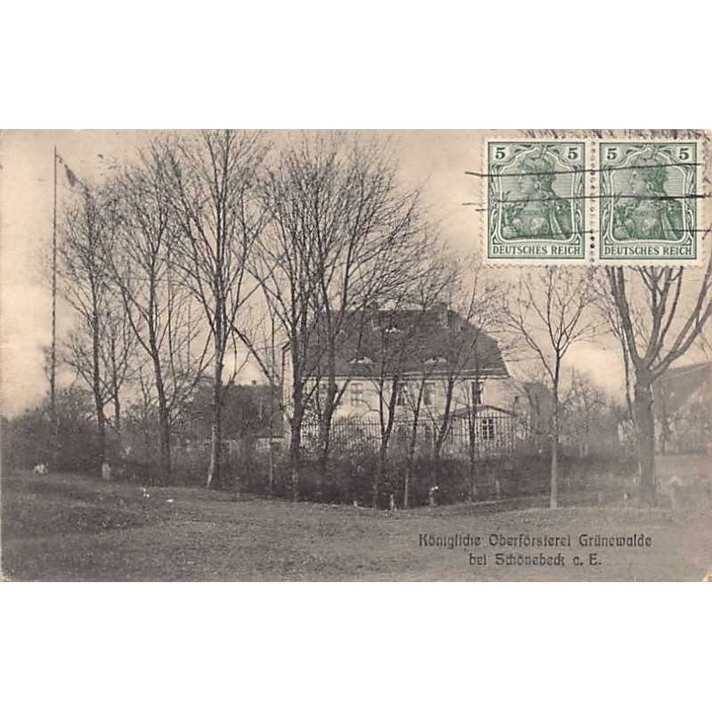 Rare collectable postcards of Germany. Vintage Postcards of Germany