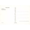 Rare collectable postcards of Germany. Vintage Postcards of Germany